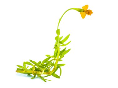 gözetim sistemi modern ofis