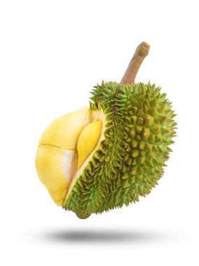 Beyaz izole durian meyve 
