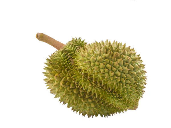 Mature durian fruit isolated on white background — Stock Photo, Image