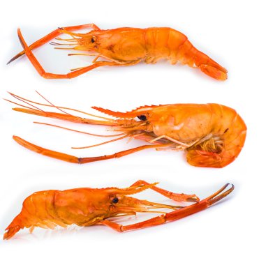 ızgara karides izole hizmet vermeye hazır