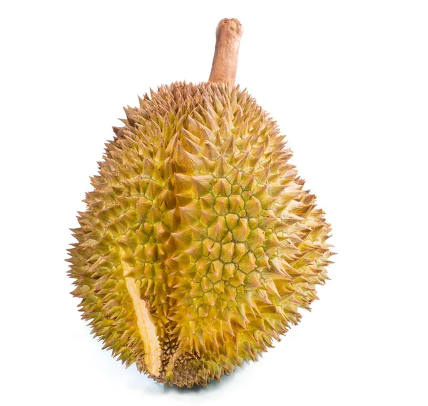 Beyaz izole durian meyve — Stok fotoğraf