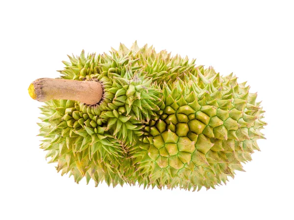 Volwassen durian fruit geïsoleerd op witte achtergrond — Stockfoto