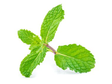 Bitkisel nane yaprağı izole vuruşta kapatın