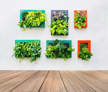 ahşap zemin üzerine gelin için dikey Bahçe