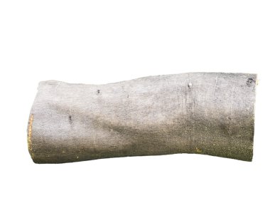 ahşap günlüğü üzerinde beyaz izole