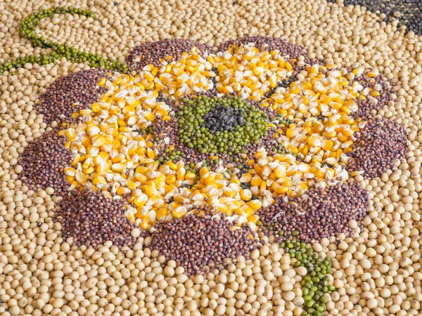 Serie de granos y semillas colectivas en flor —  Fotos de Stock