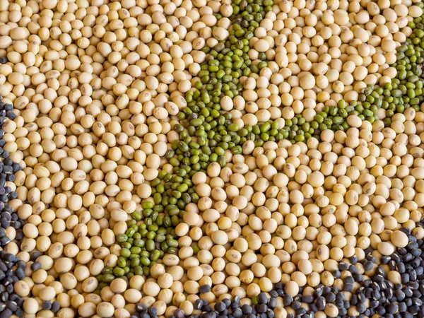 Multi korn, majs, utsäde på golvet — Stockfoto
