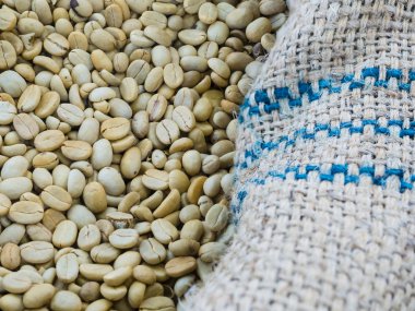 çiğ kahve kızartma için hazır