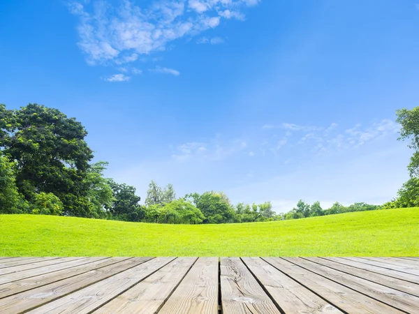 Plank hout en groen gras op sky — Stockfoto