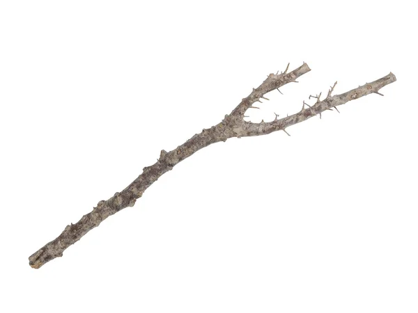 Dřevěná hůl izolovaných na bílém — Stock fotografie
