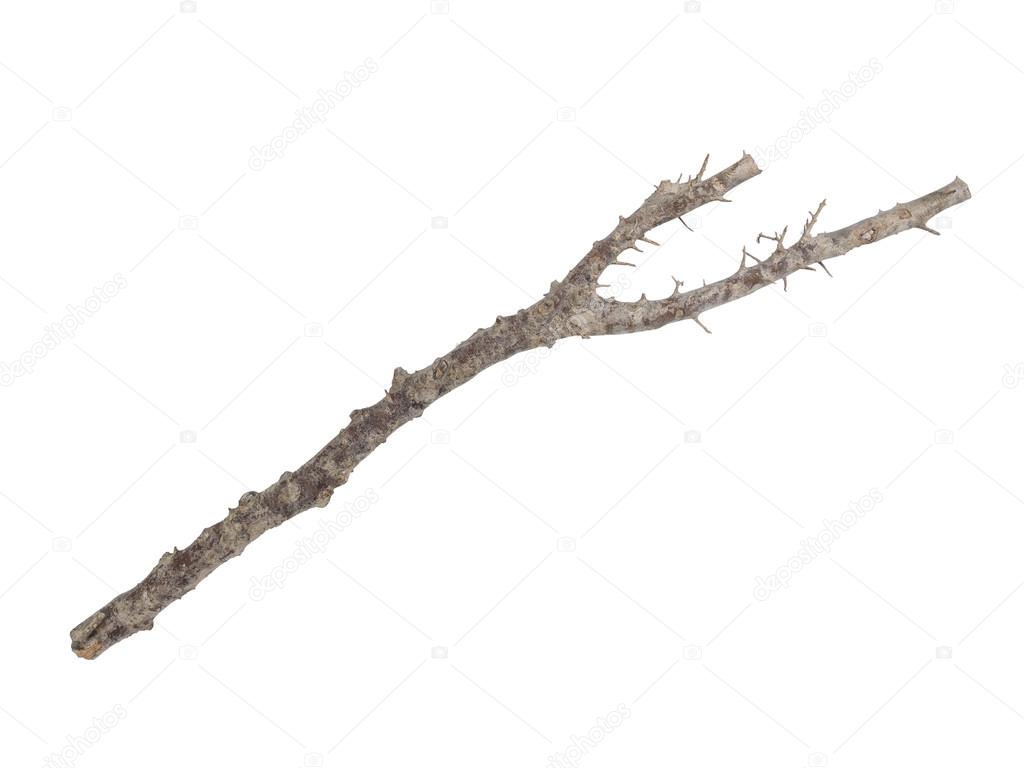 wooden stick isolated on white 