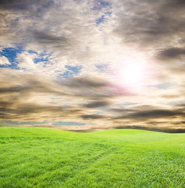 Yeşil çimenlerin üzerinde bulutlu gökyüzü
