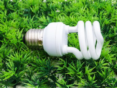 Floresan lamba suni çim üzerinde