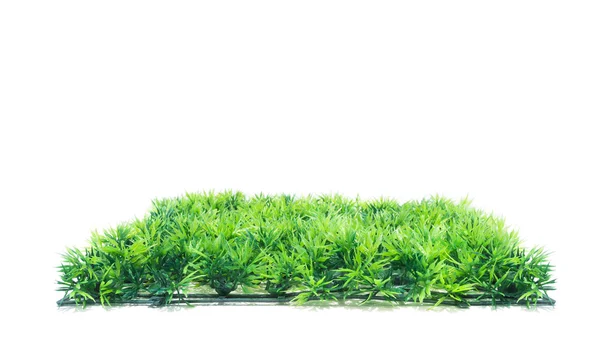 Artificial green grass isolated — Stock Photo, Image