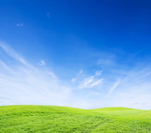 Groen gras op bewolkte hemel — Stockfoto