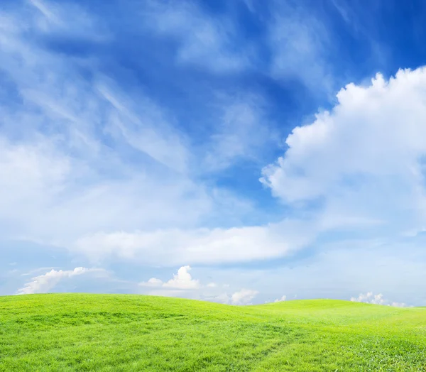 Green grass on cloudy sky — Stock Photo, Image