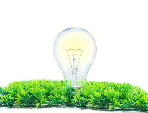 Incandescence light bulb on white — Stock Photo, Image