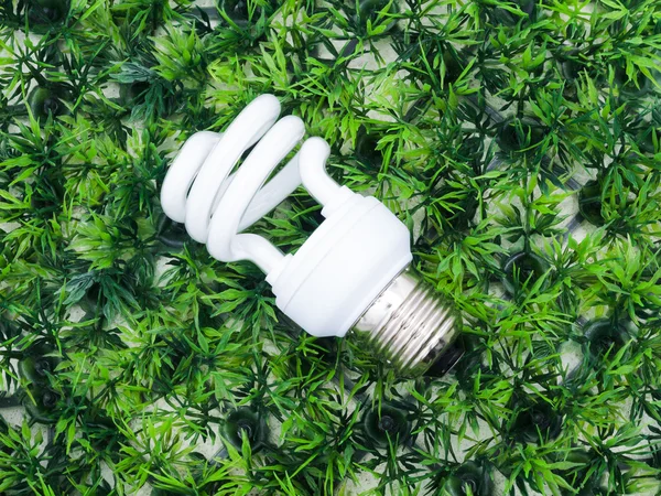 Incandescence light bulb on artificial grass — Stock Photo, Image