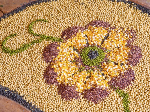 Multi grano, maíz, semilla en forma de flor —  Fotos de Stock