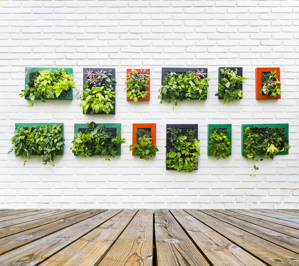 vertical garden on white brick wall