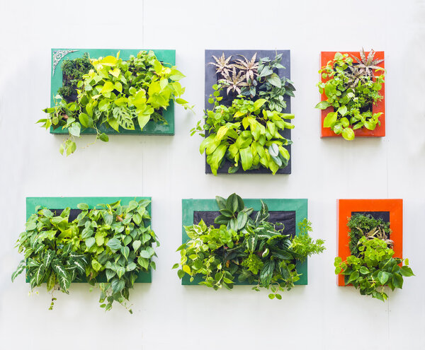 decorated wall in vertical garden