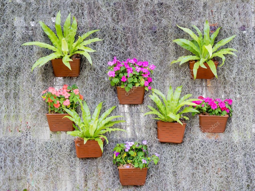 Macetas de flores en la pared — Foto de stock © missisya #60674497