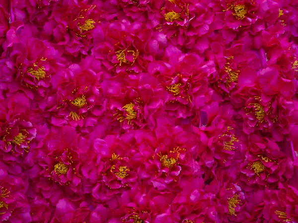 El patrón de flores rojas artificiales —  Fotos de Stock