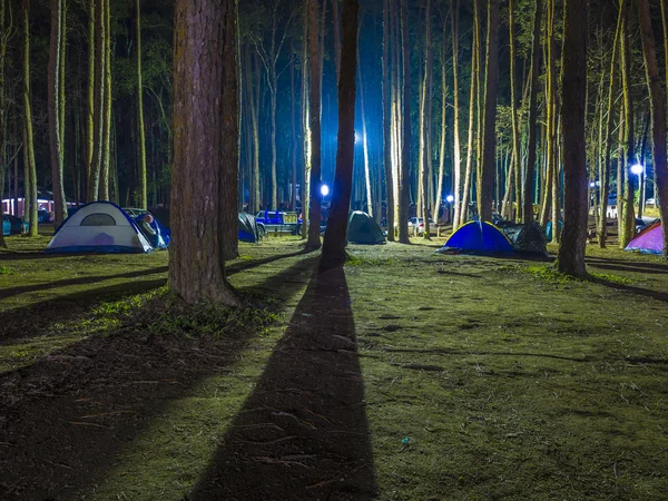 Rekreační kemp stany s siluetu alpské stromů — Stock fotografie