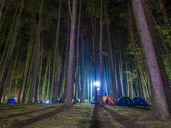 Rekreační kemp stany s siluetu alpské stromů — Stock fotografie