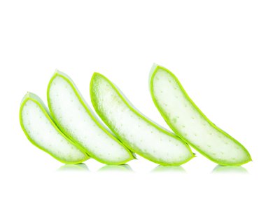Aloe Vera Beyaz Arkaplanda