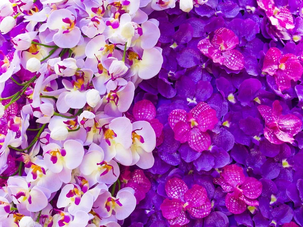 Hermosa orquídea magenta artificial —  Fotos de Stock