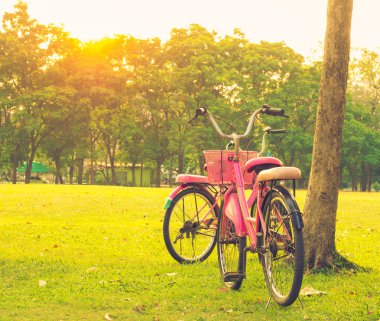 sun set arka plan ile çimenlerin üzerinde bisiklet