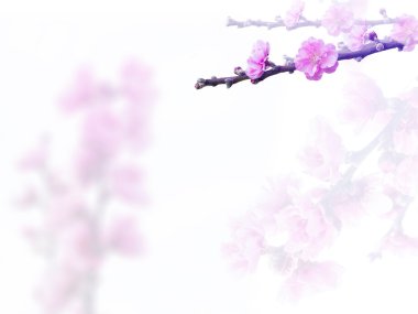 renk eklenen filtreler ile güzel çiçekler