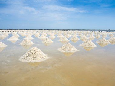 Deniz suyu tuz gruptaki yığını yaptı