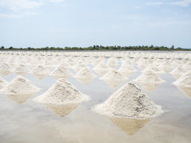 tuz gruptaki yığını