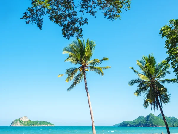 Palme da coconteggio davanti alla riva del mare — Foto Stock