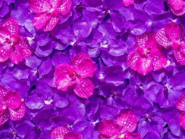 yapay pembe orkide çiçekleri