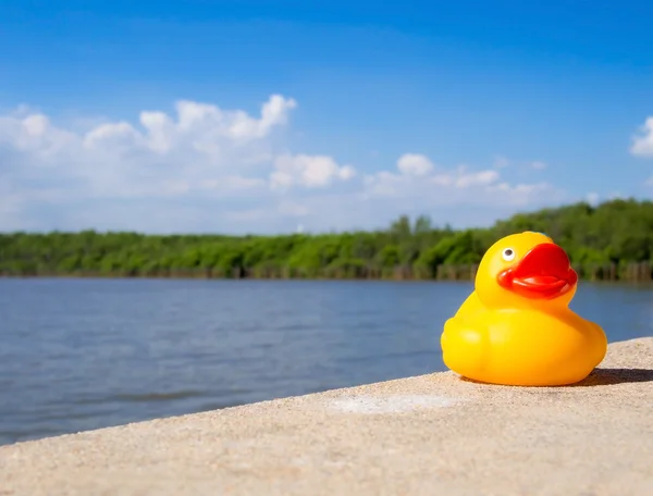 Juguete de pato sentado frente al mar —  Fotos de Stock