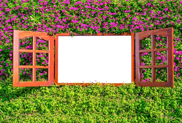 Ventana de flores de colores con espacio vacío —  Fotos de Stock