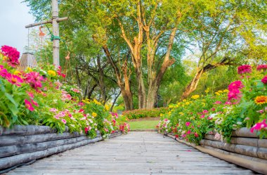 Ahşap bambu yol yolu ile güzel çiçekler