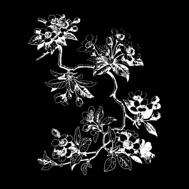 Siyah arka plan üzerinde yaprakları ve çiçekleri ile Botanik dalları. 