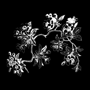 Siyah arka plan üzerinde yaprakları ve çiçekleri ile Botanik dalları. 