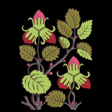 Renkli botanik el çizilmiş çilek çalı siyah arka plan vektör izole