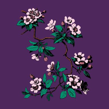 Mor arka plan vektörüzerinde yaprak ve çiçekler ile renkli Botanik dalları