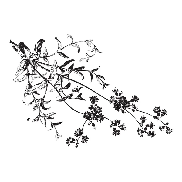 Botanik el çiçekleri ile çizilmiş dalları üzerinde beyaz arka plan vektör illüstrasyon izole izole, bitkisel çiçekler — Stok Vektör