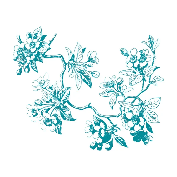 Botanische Zweige mit Blättern und Blüten auf weißem Hintergrund. — Stockvektor