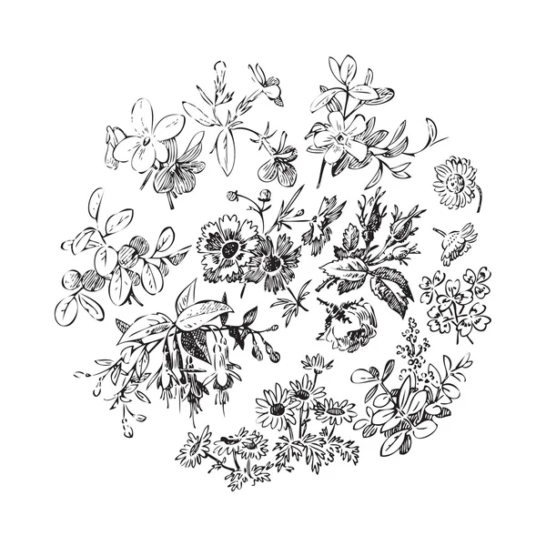 Corona floral aislado círculo blanco garabato conjunto de flores vector — Archivo Imágenes Vectoriales