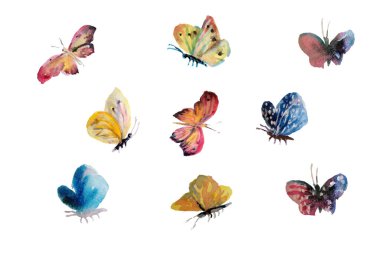 Beautiful watercolor butterflys flying, insect painted on white background. Artistic vector illustration set. Grunge simple botanical texture. Pink, yellow, blue colors nature clipart