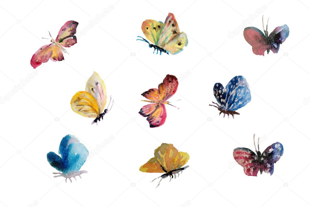 Beautiful watercolor butterflys flying, insect painted on white background. Artistic vector illustration set. Grunge simple botanical texture. Pink, yellow, blue colors nature