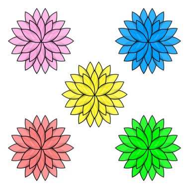 Beyaz arka plan sette izole renkli çiçekler